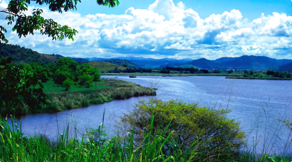 Le migliori opzioni di noleggio auto a Humacao